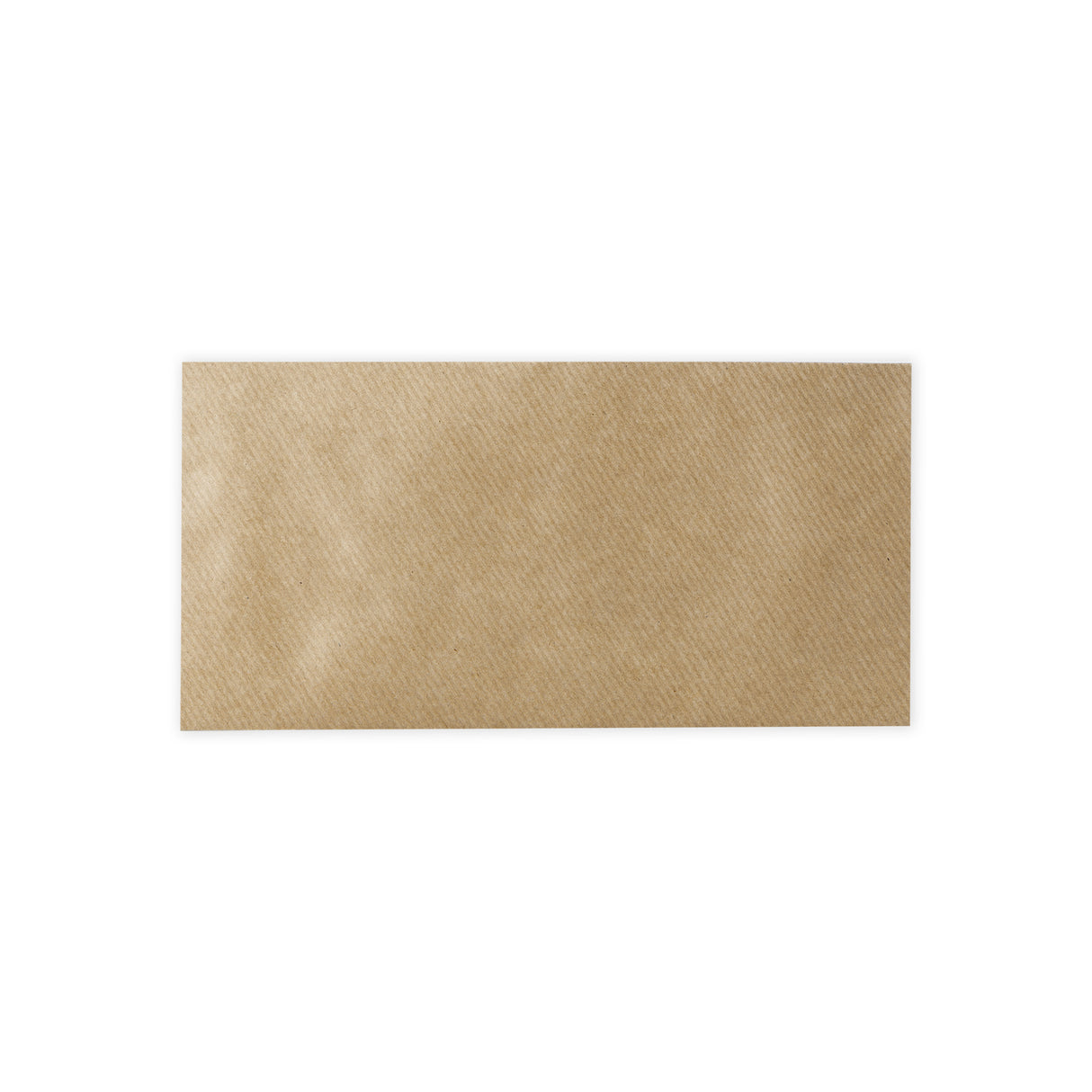 DL Fleck Gummed V-Flap Envelope (110 x 220mm)