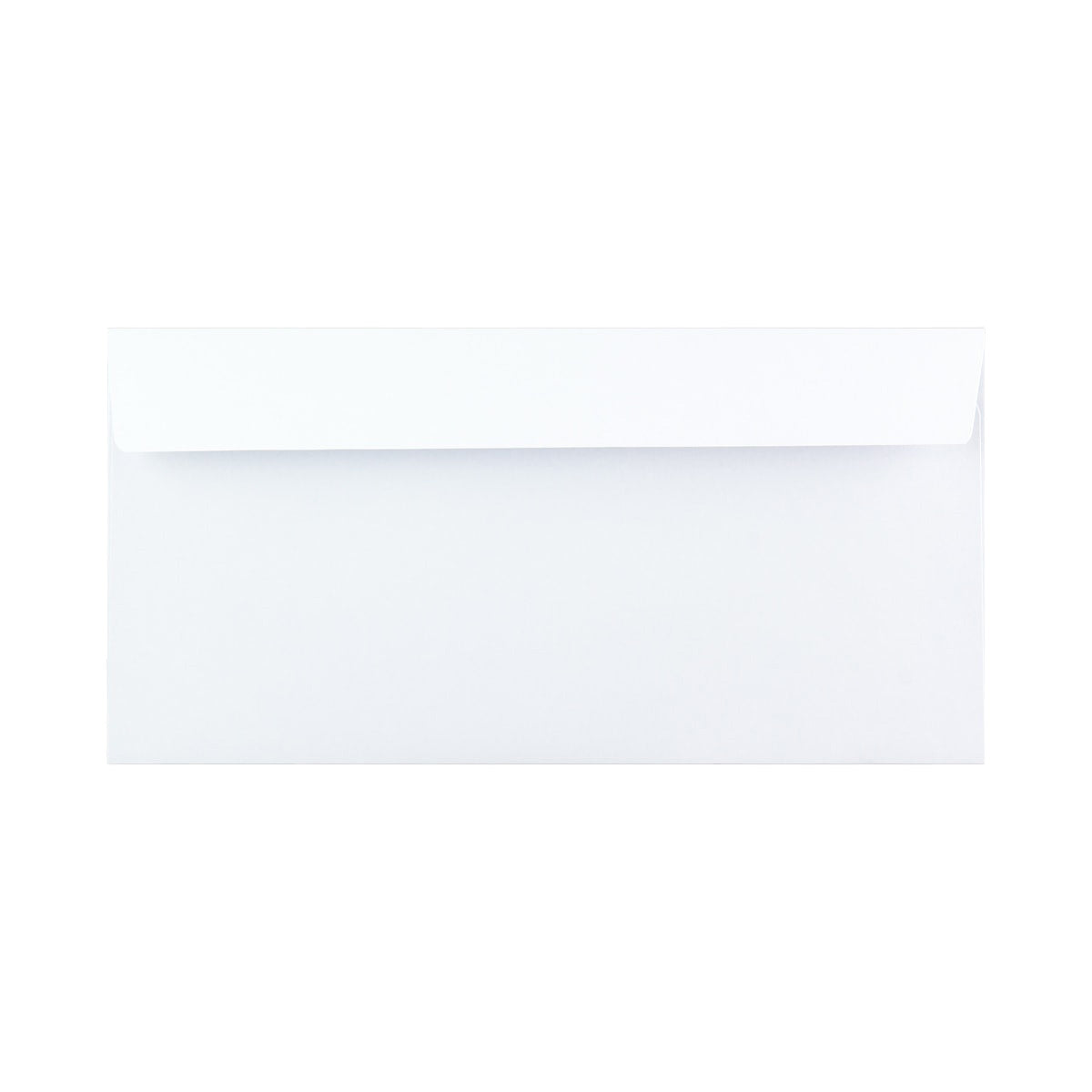 DL White Envelope (110 x 220mm)
