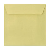 Textured Envelopes Straight Flap