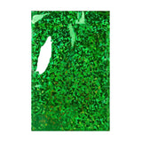 Holographic Finish Foil Bags